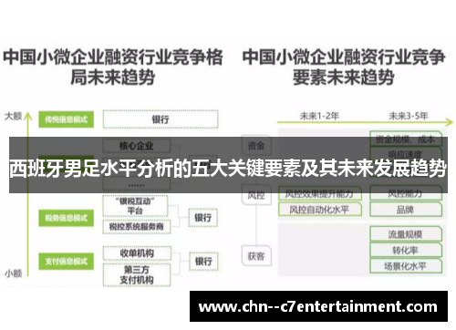 西班牙男足水平分析的五大关键要素及其未来发展趋势 西班牙男足水平分析的五大关键要素及其未来发展趋势
