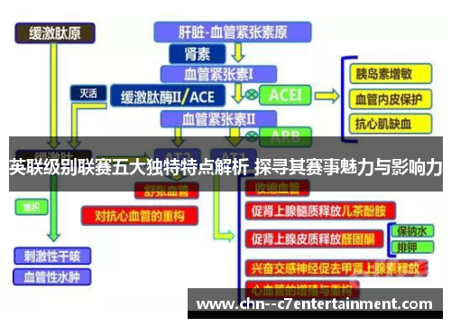 英联级别联赛五大独特特点解析 探寻其赛事魅力与影响力