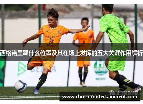 西格诺里踢什么位置及其在场上发挥的五大关键作用解析